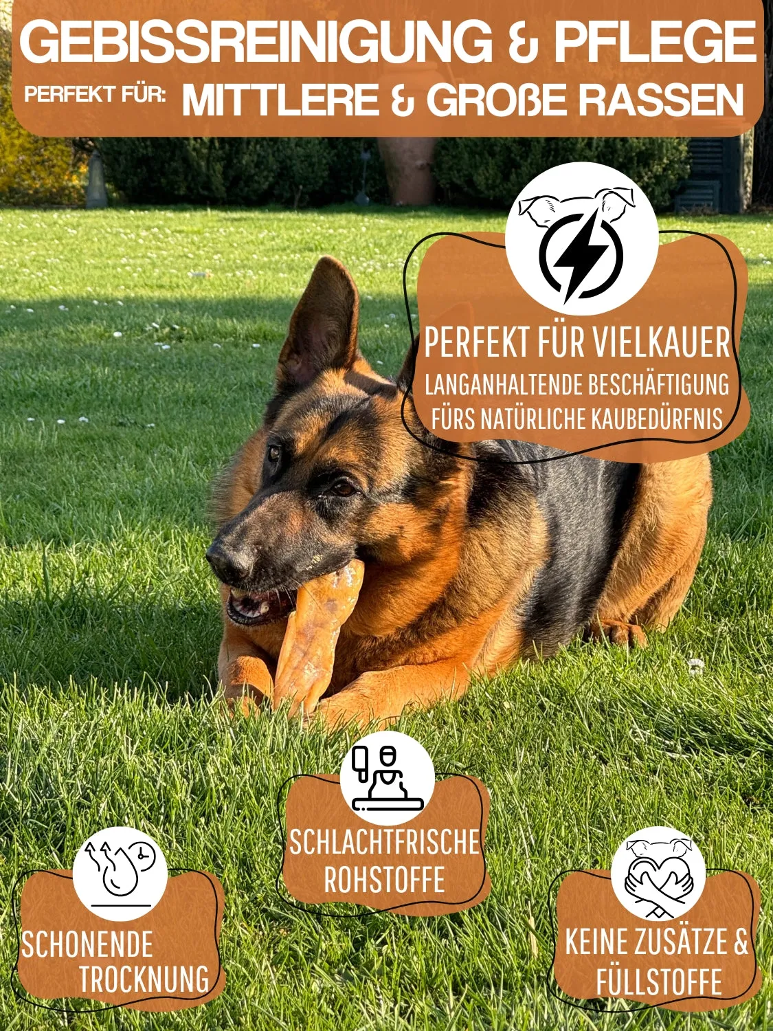 WEPO Runderkopshuid kauwsnack hond 1kg natuurlijk
