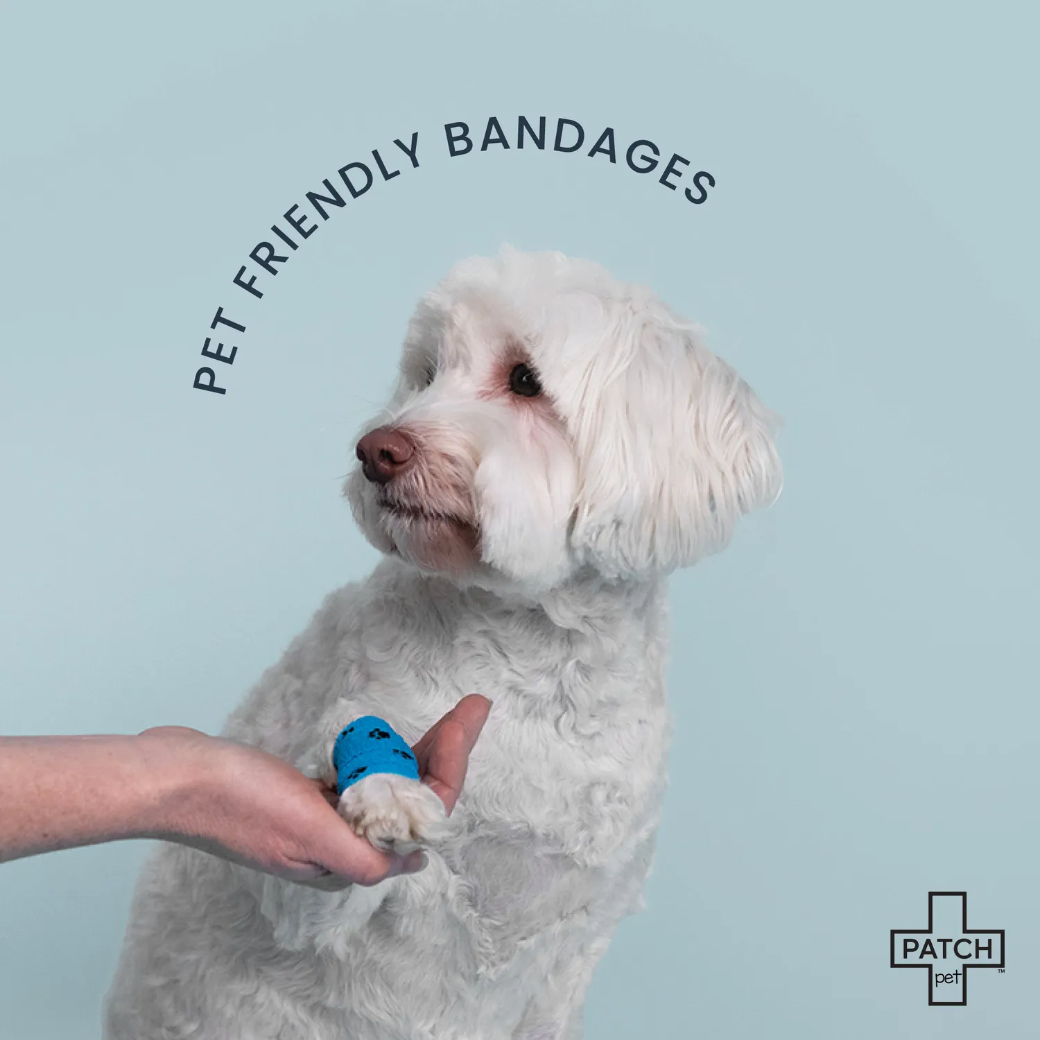 Patch Pet EHBO Bundel Thuis + Travel Set Eco