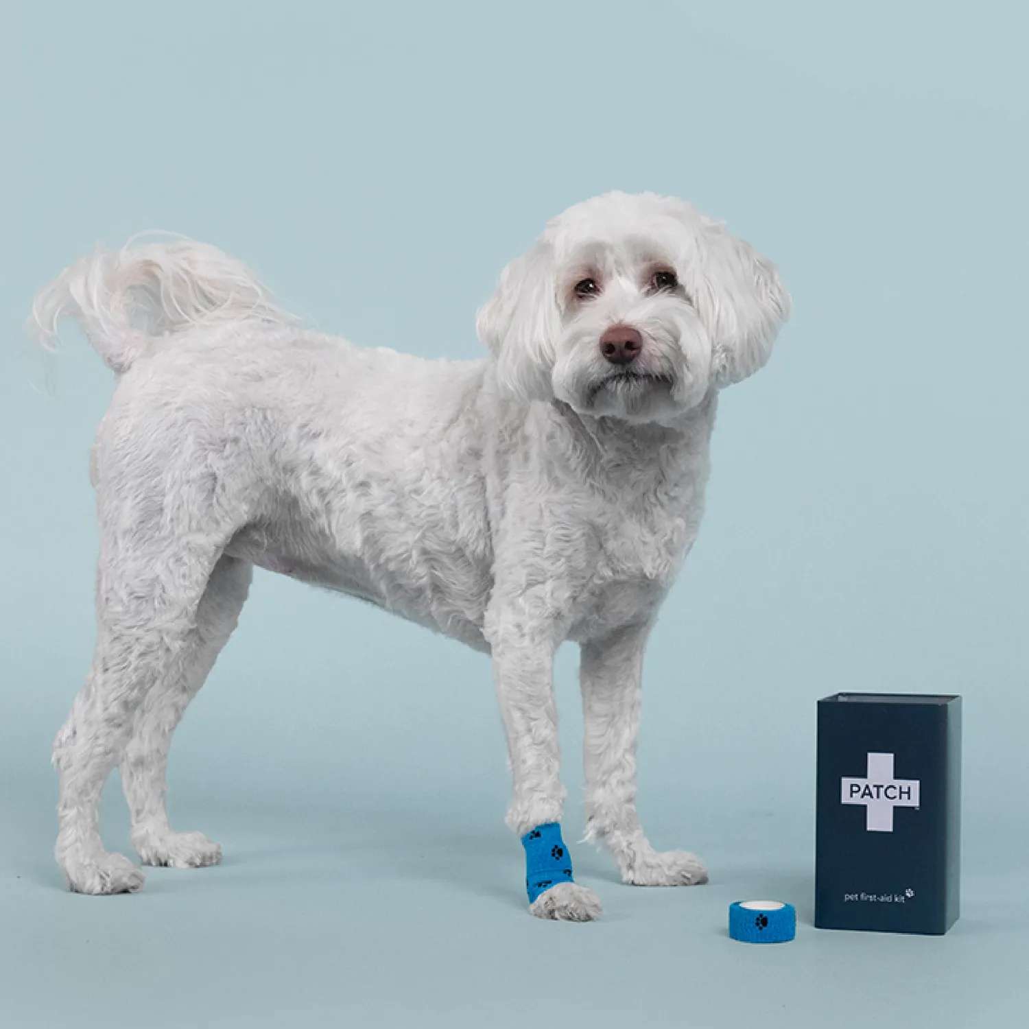 Patch Pet Eco EHBO-set Huisdieren Complete Kit