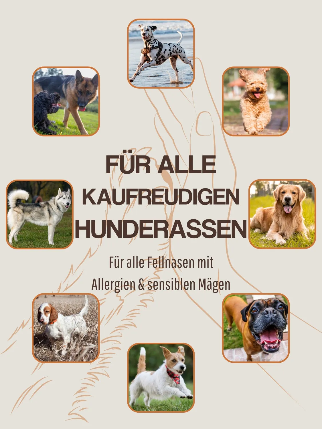 WEPO Runderkopshuid kauwsnack hond 1kg natuurlijk